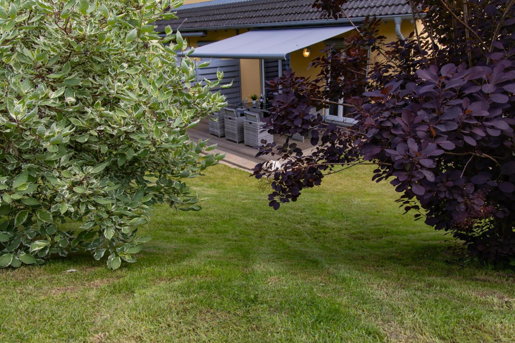 Ferienhaus Moselhoehe -Neu- Verbandsgemeinde Verbandsgemeinde Traben-Trarbach Buitenkant foto